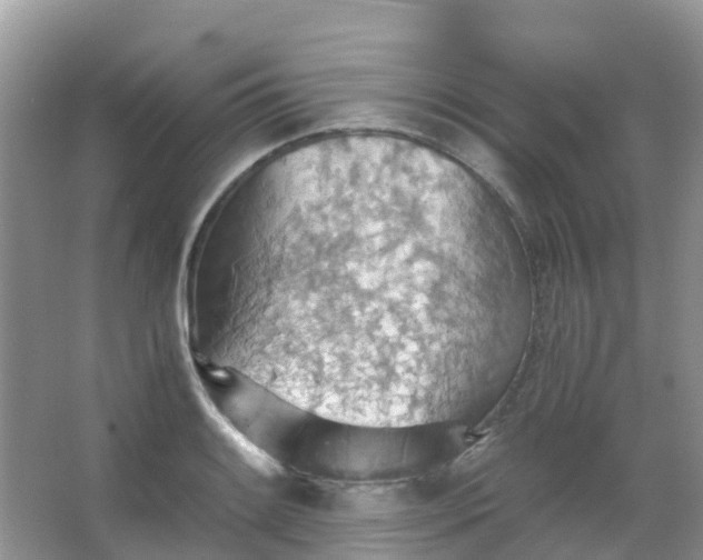 X0000067481084200604150010