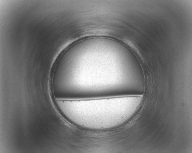 X0000067481085200604150010