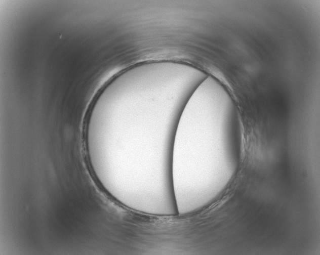 X0000067481087200604150010