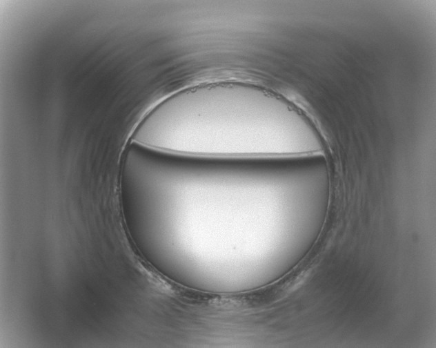 X0000067481089200604150010