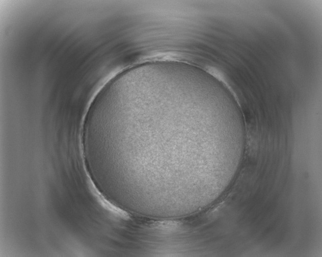 X0000067481090200604150010