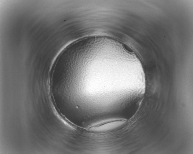 X0000067481092200604150010