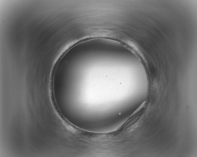 X0000067481093200604150010