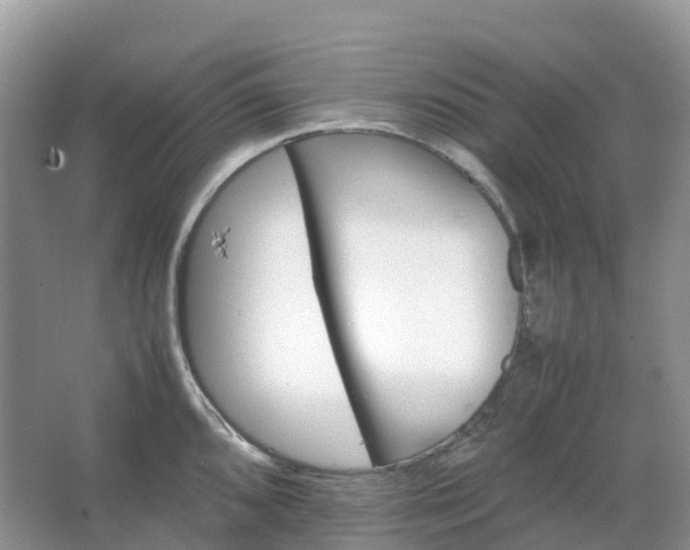 X0000067481096200604150010