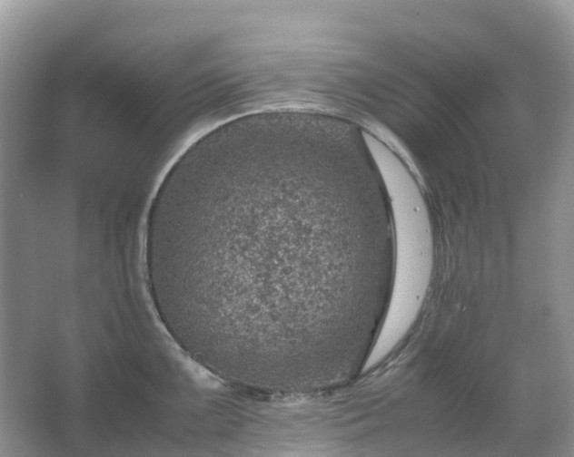 X0000067481099200604150010