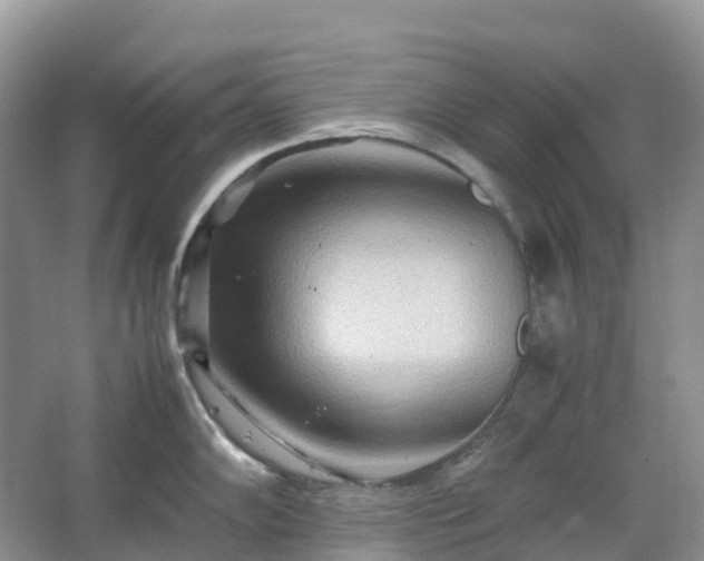 X0000067481102200604150009