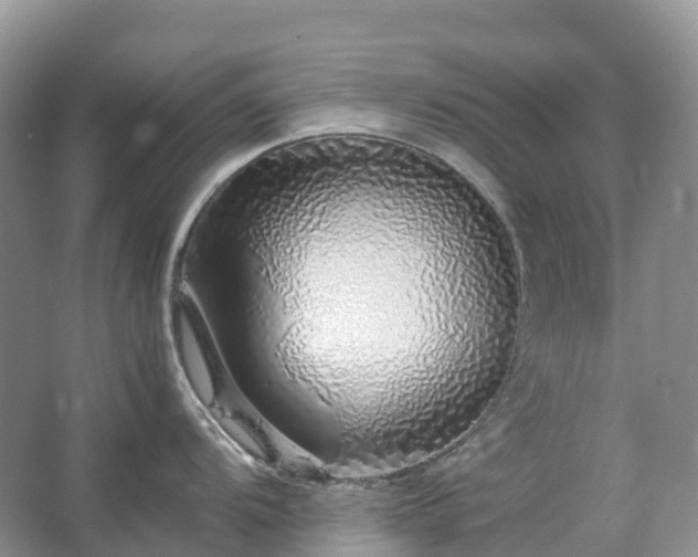 X0000067481104200604150009