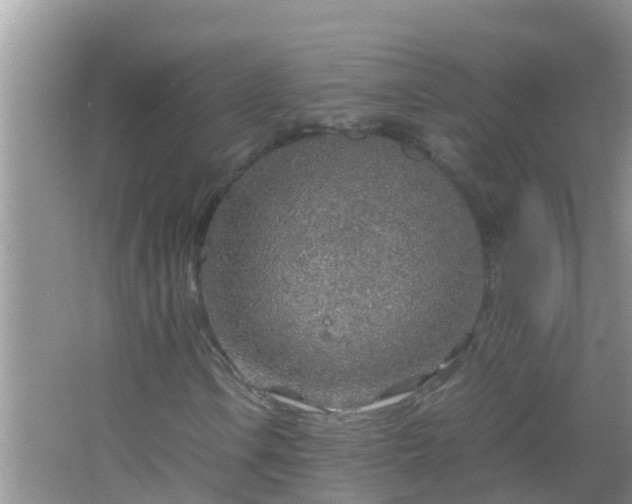 X0000067481106200604150009