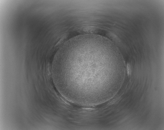 X0000067481107200604150009