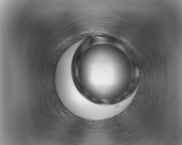 X0000067481110200604150009