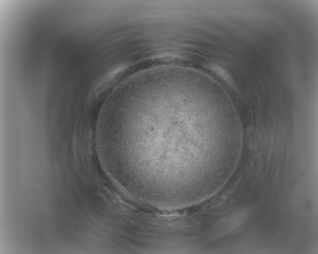 X0000067481111200604150009