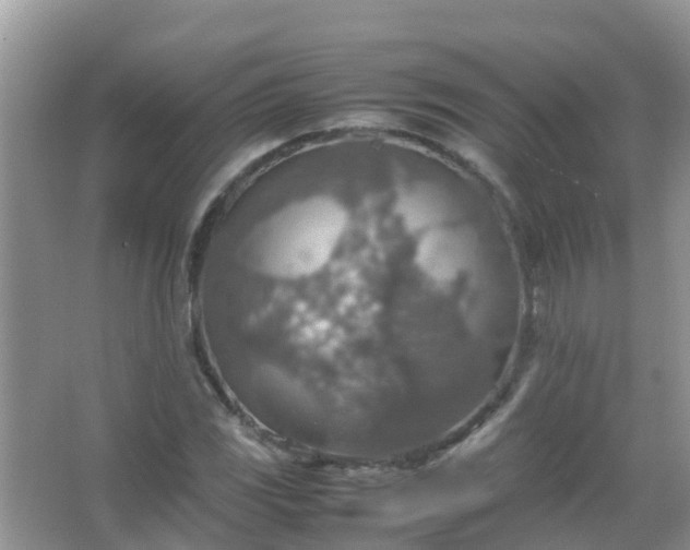 X0000067481117200604150009