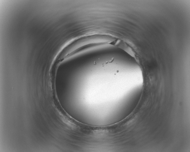 X0000067481118200604150009