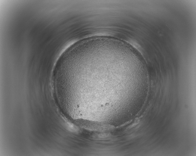 X0000067481119200604150009