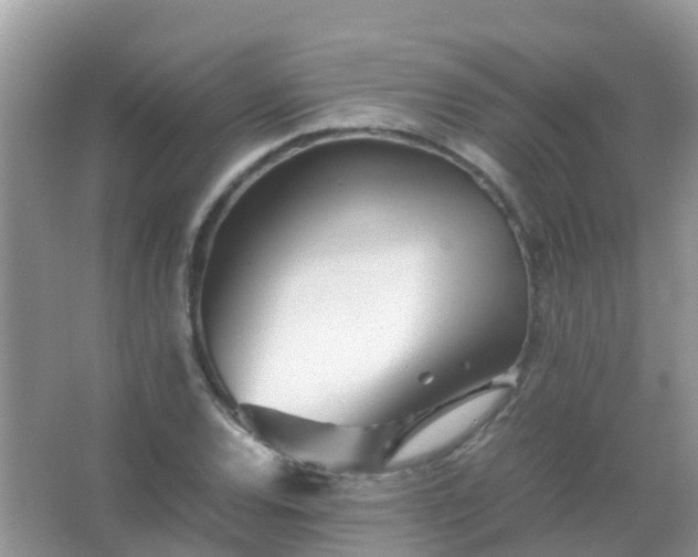 X0000067481120200604150009