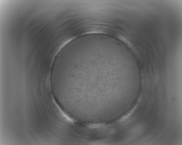 X0000067481121200604150009