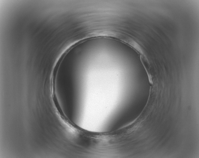 X0000067481132200604150009