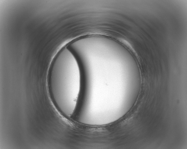 X0000067481133200604150009