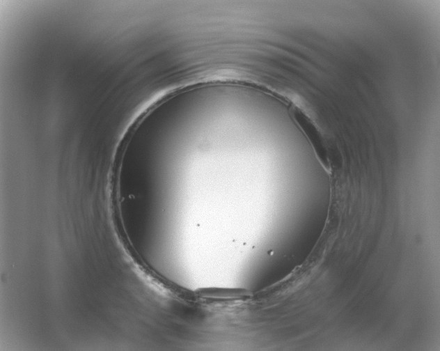 X0000067481134200604150009