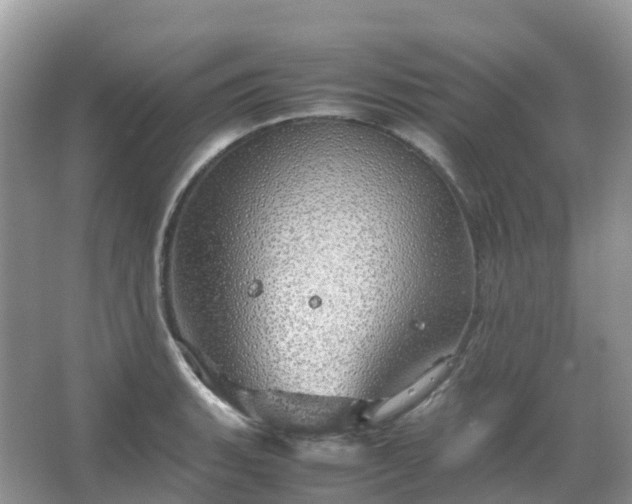 X0000067481135200604150009