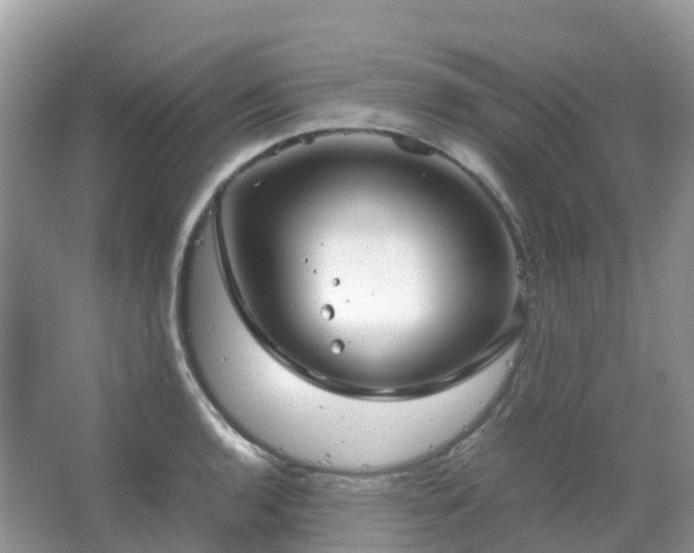 X0000067481136200604150009