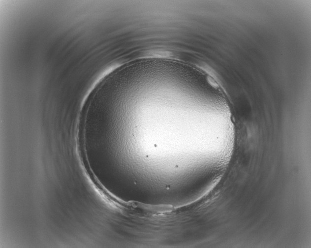 X0000067481139200604150009