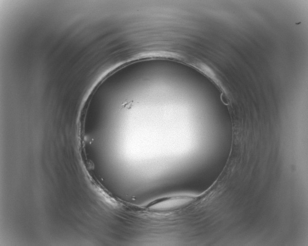 X0000067481140200604150009