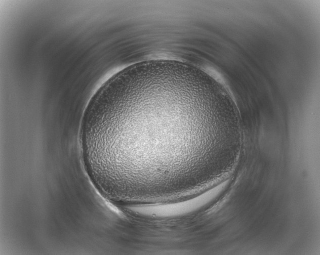 X0000067481141200604150009