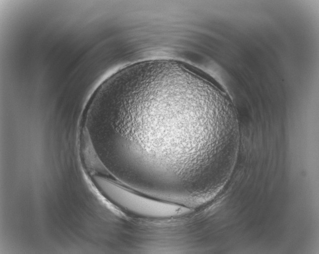 X0000067481142200604150009