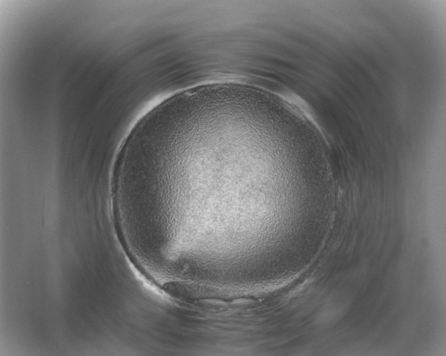 X0000067481143200604150009