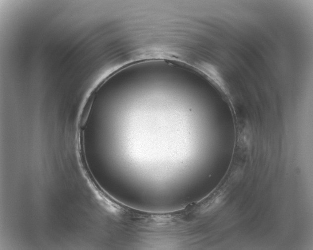 X0000067481144200604150009