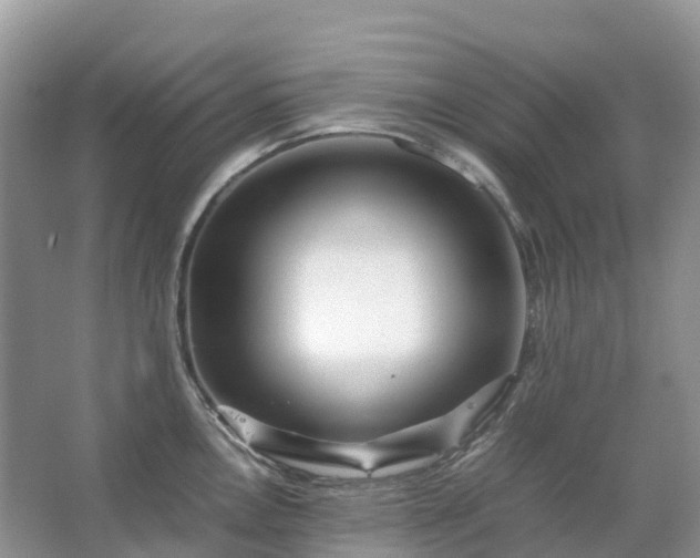 X0000067481146200604150009