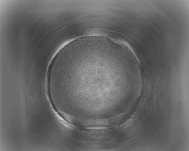 X0000067481147200604150009