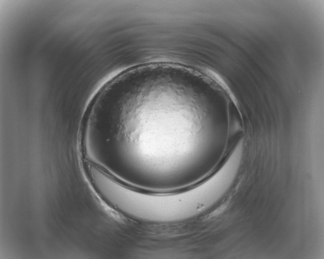 X0000067481149200604150009