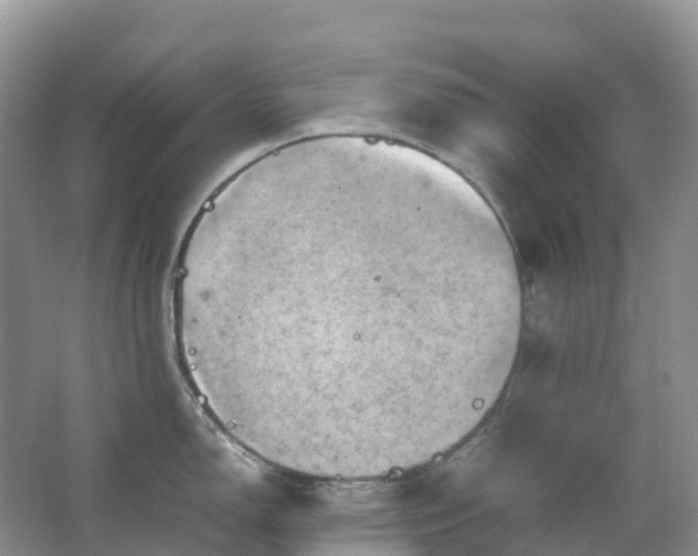 X0000067481150200604150009