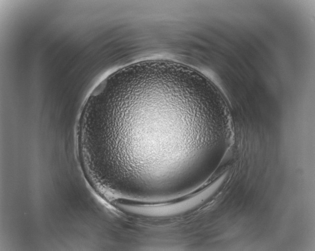 X0000067481151200604150009