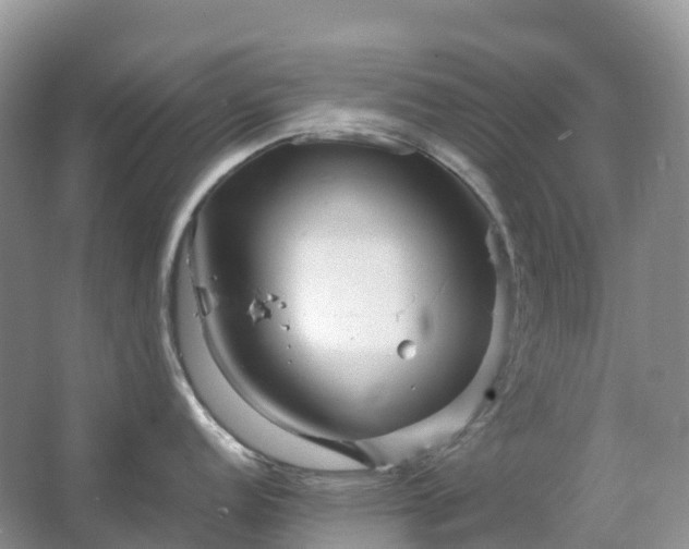 X0000067481152200604150009