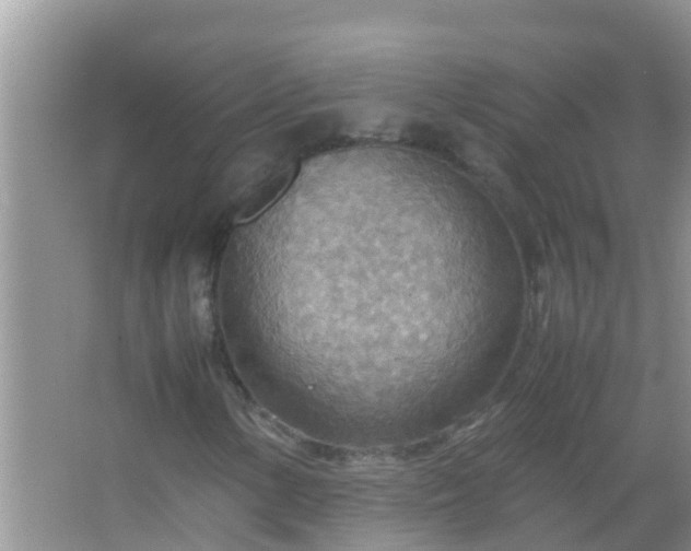 X0000067481154200604150009