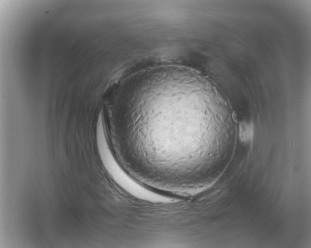 X0000067481155200604150009