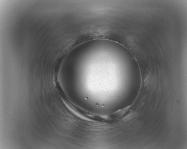 X0000067481156200604150009