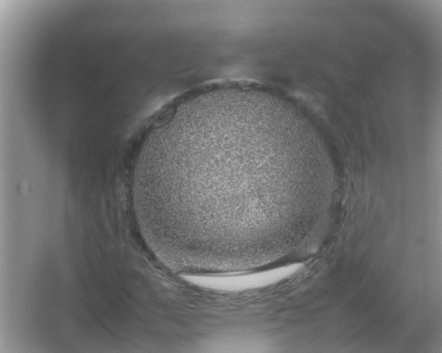 X0000067481159200604150009