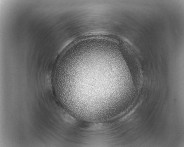 X0000067481162200604150008