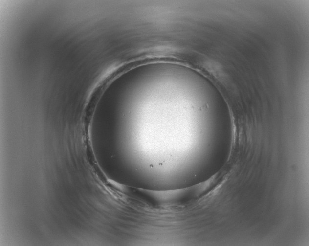 X0000067481164200604150008