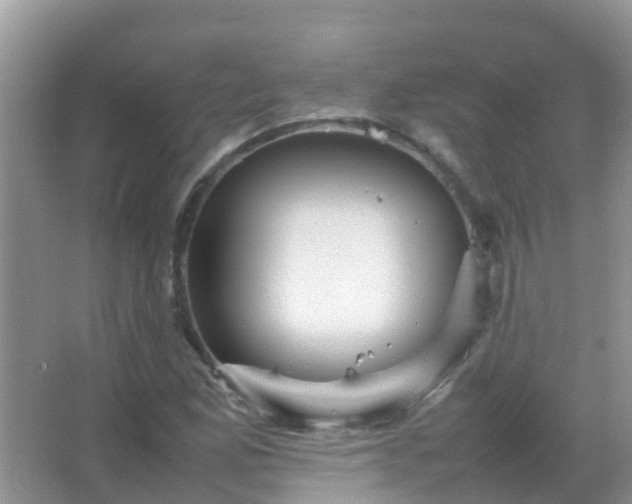 X0000067481165200604150008