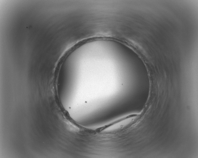 X0000067481168200604150008