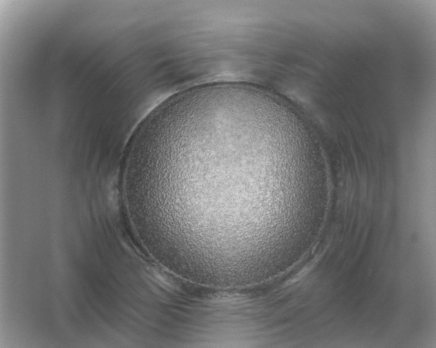 X0000067481170200604150008