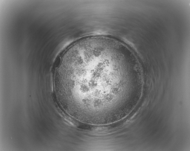 X0000067481171200604150008