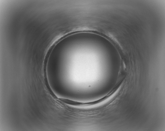 X0000067481173200604150008