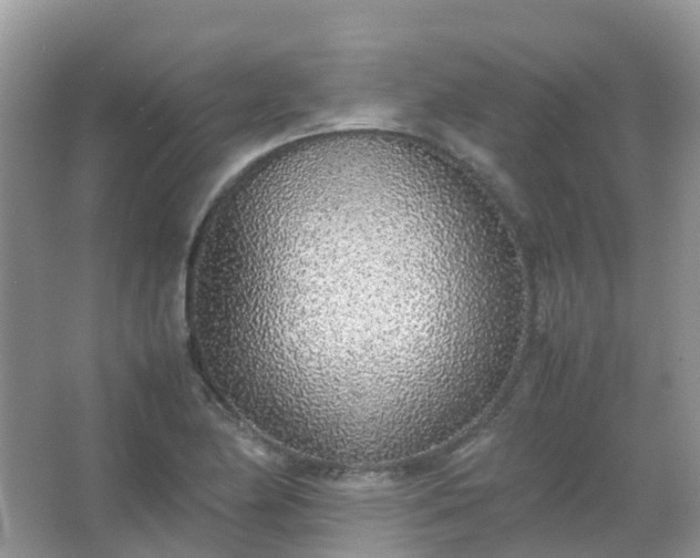 X0000067481174200604150008