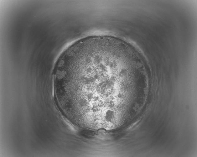 X0000067481175200604150008